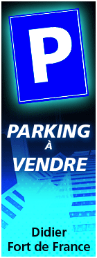 Places de parking id&eacute;alement situ&eacute;es - Fort-de-france Didier
