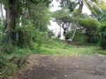 TERRAIN