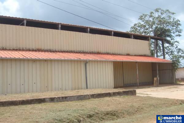 Dépôts à louer 200 et 600 m² à Macouria