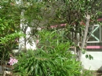 MaisonA VENDRE : 216 000 €
