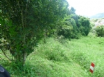 TerrainA VENDRE : 99 000 &euro;